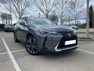 Diseno-sin-titulo-81