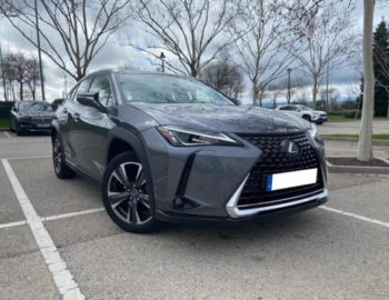 Diseno-sin-titulo-81