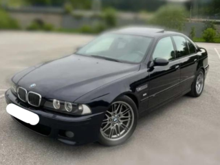 Diseno-sin-titulo-83