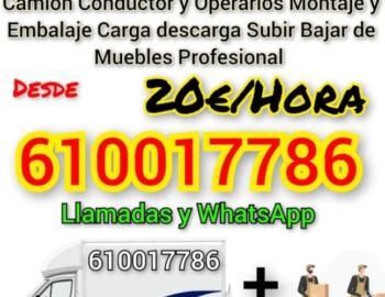 Diseno-sin-titulo-2024-06-18T111146.521