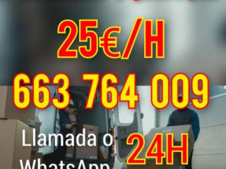 Diseno-sin-titulo-2024-06-18T111835.566