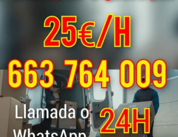 Diseno-sin-titulo-2024-06-18T111835.566