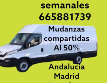 Diseno-sin-titulo-2024-06-19T094753.539