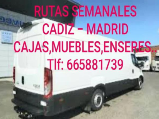 Diseno-sin-titulo-2024-07-05T113313.705