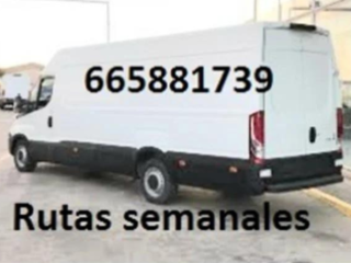 Diseno-sin-titulo-2024-07-05T113340.487