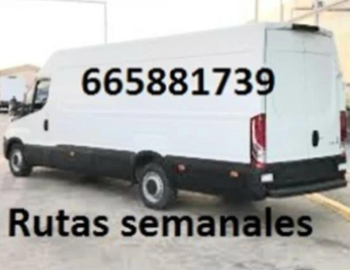 Diseno-sin-titulo-2024-07-05T113340.487