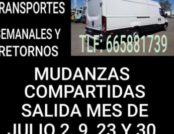 Diseno-sin-titulo-2024-07-05T113425.513