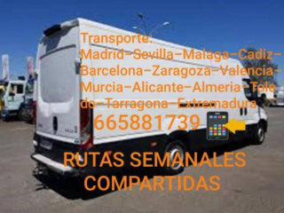 Diseno-sin-titulo-2024-07-05T113514.531