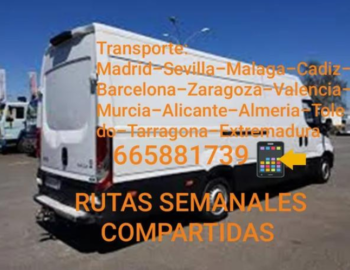 Diseno-sin-titulo-2024-07-05T113514.531