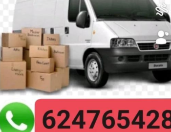 Diseno-sin-titulo-2024-07-05T113707.246