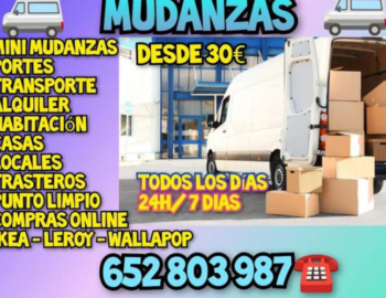 Diseno-sin-titulo-2024-07-05T115059.017